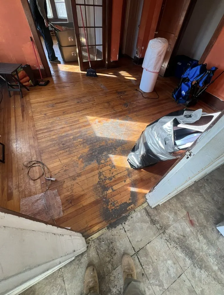 Top-rated residential painting in Bellingham, MA by A Perfect Cut