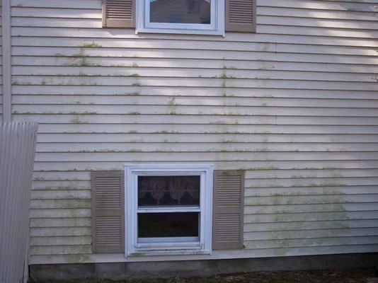 Garys Pressure Washing