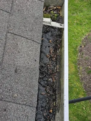 Gutter Done